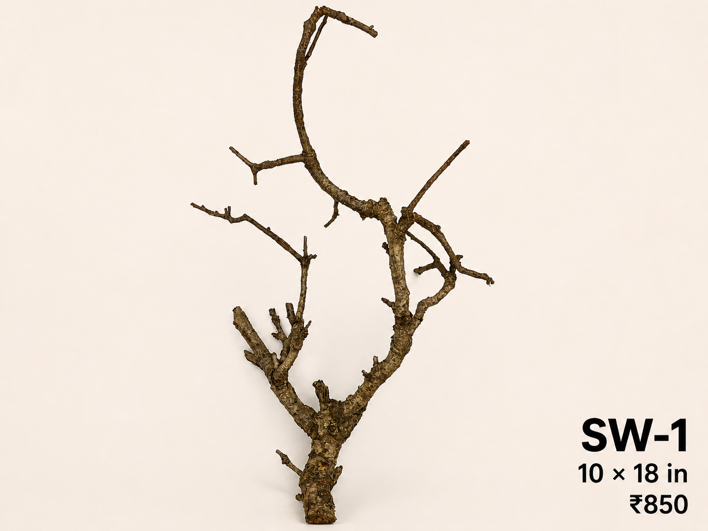 Tree-Style Natural Driftwood - SW1
