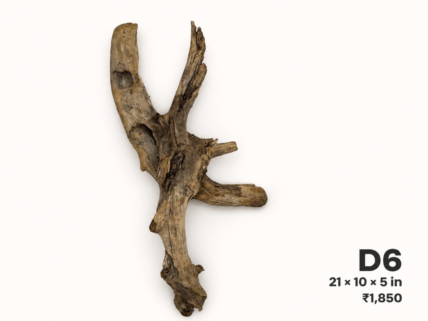 Natural Driftwood D6