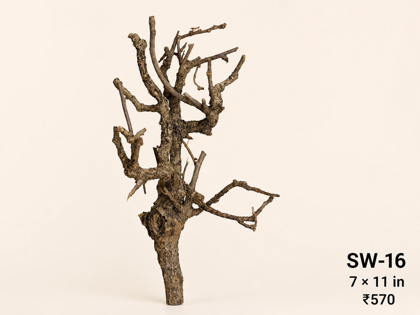 Tree-Style Natural Driftwood - SW16