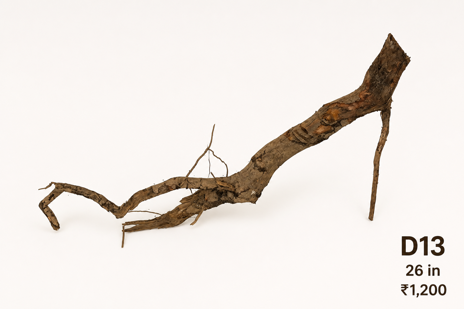 Natural Driftwood D13
