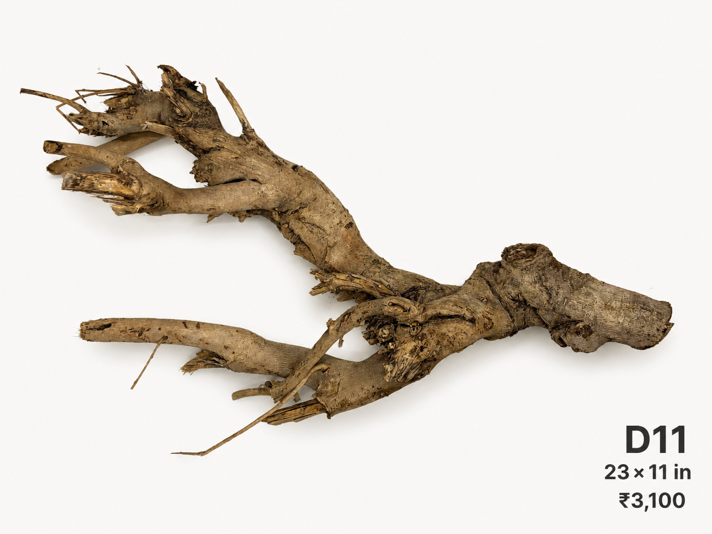 Natural Driftwood D11