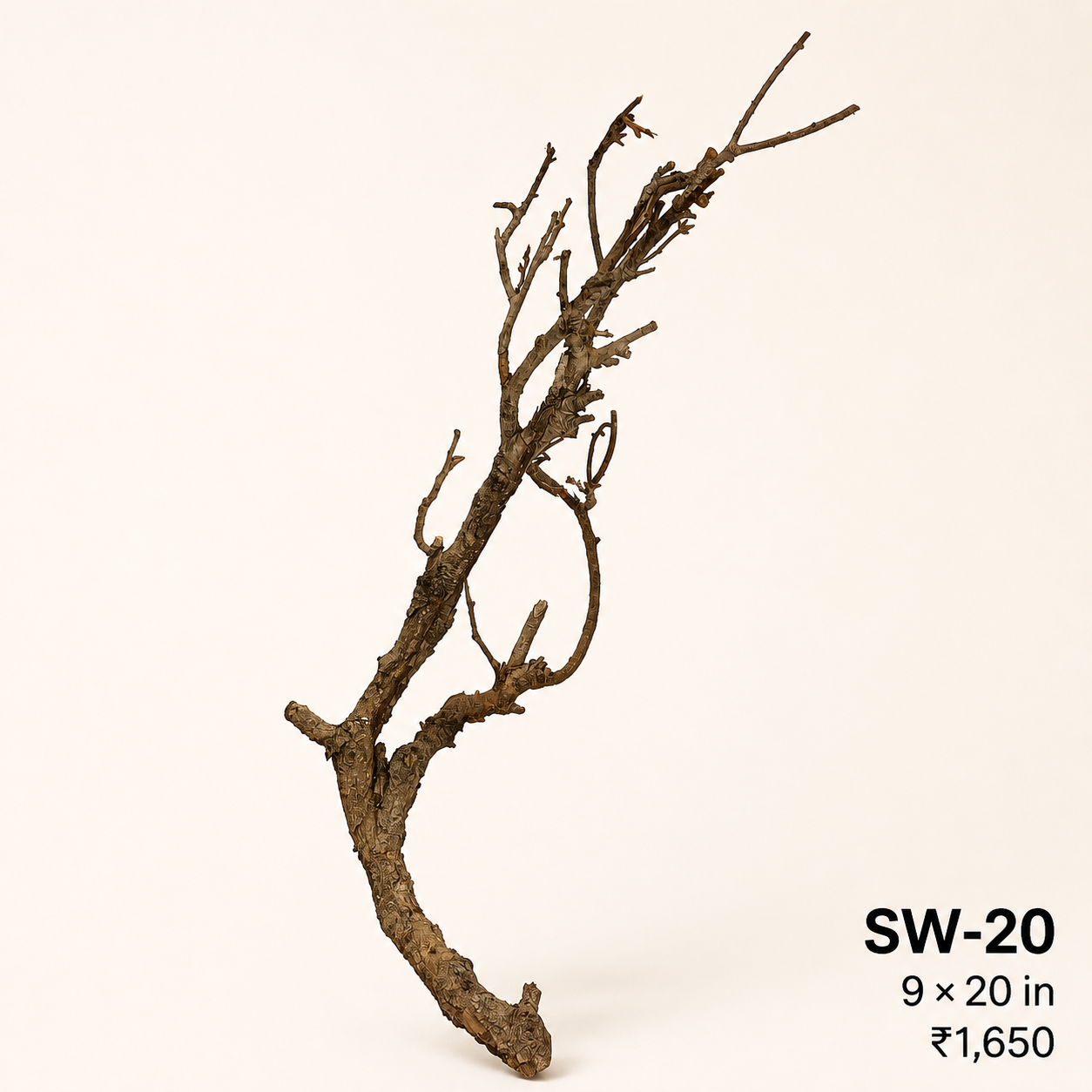 Tree-Style Natural Driftwood - SW21