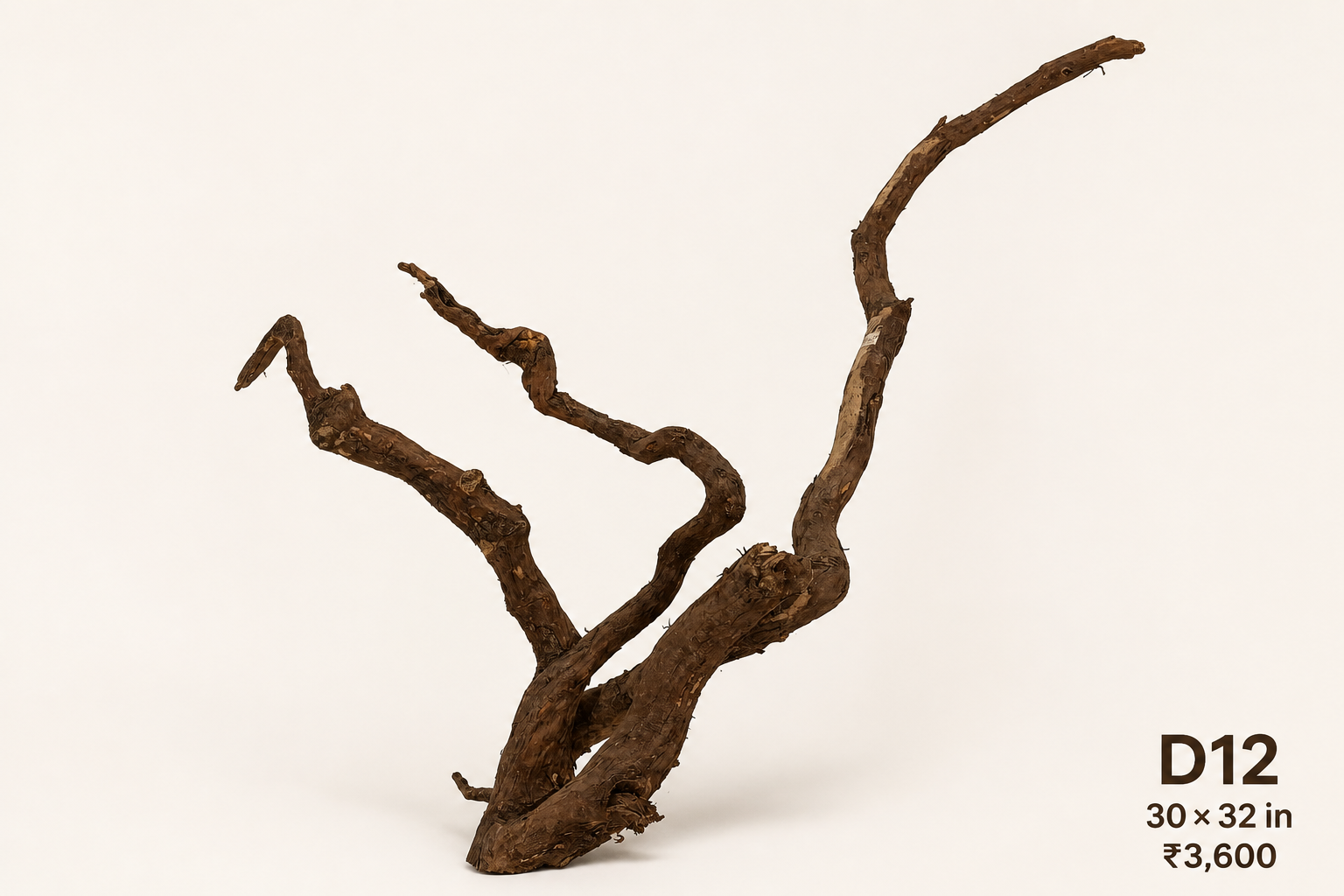 Natural Driftwood D12