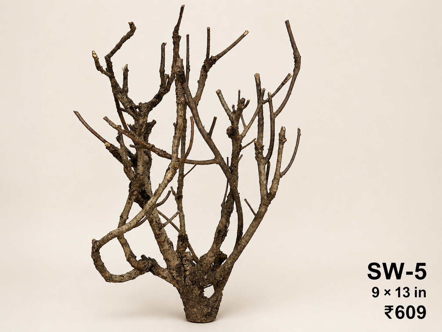 Tree-Style Natural Driftwood - SW5