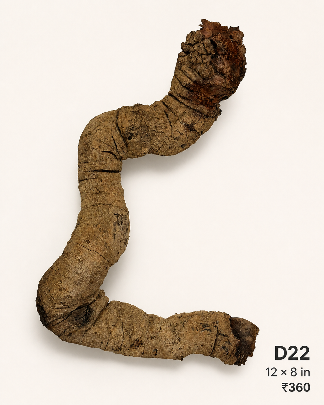 Natural Driftwood D23