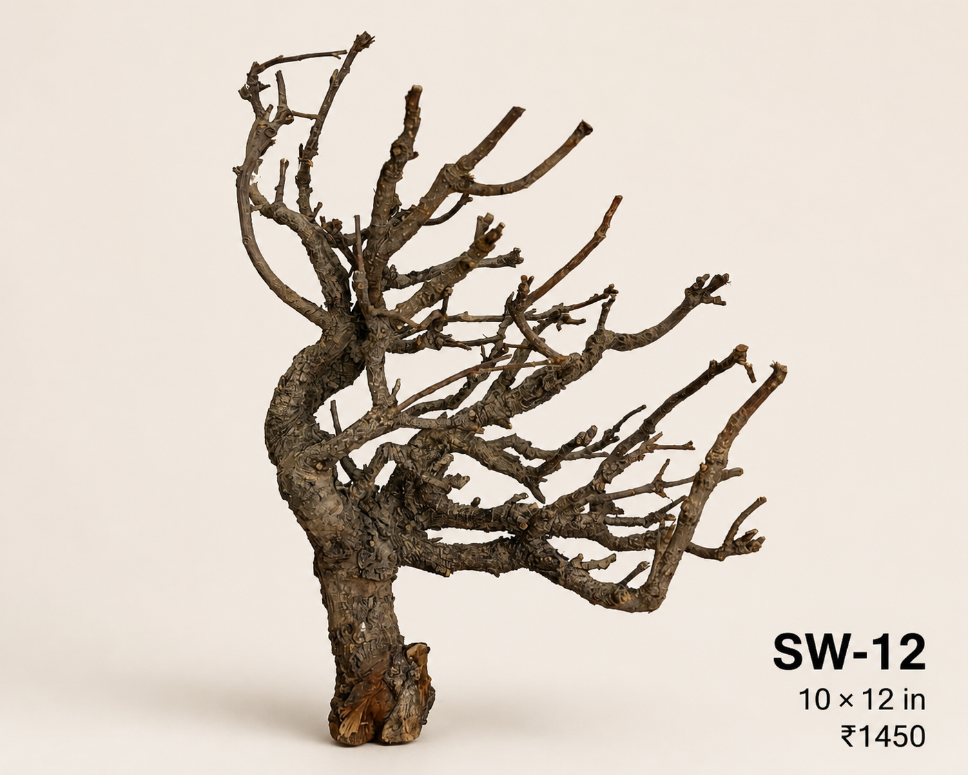 Tree-Style Natural Driftwood - SW12