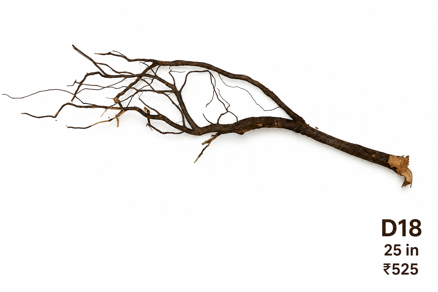 Natural Driftwood D18