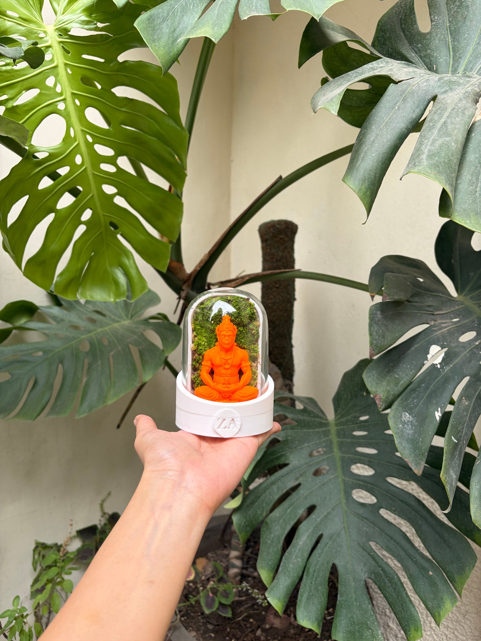 Hanuman Terrarium Dome