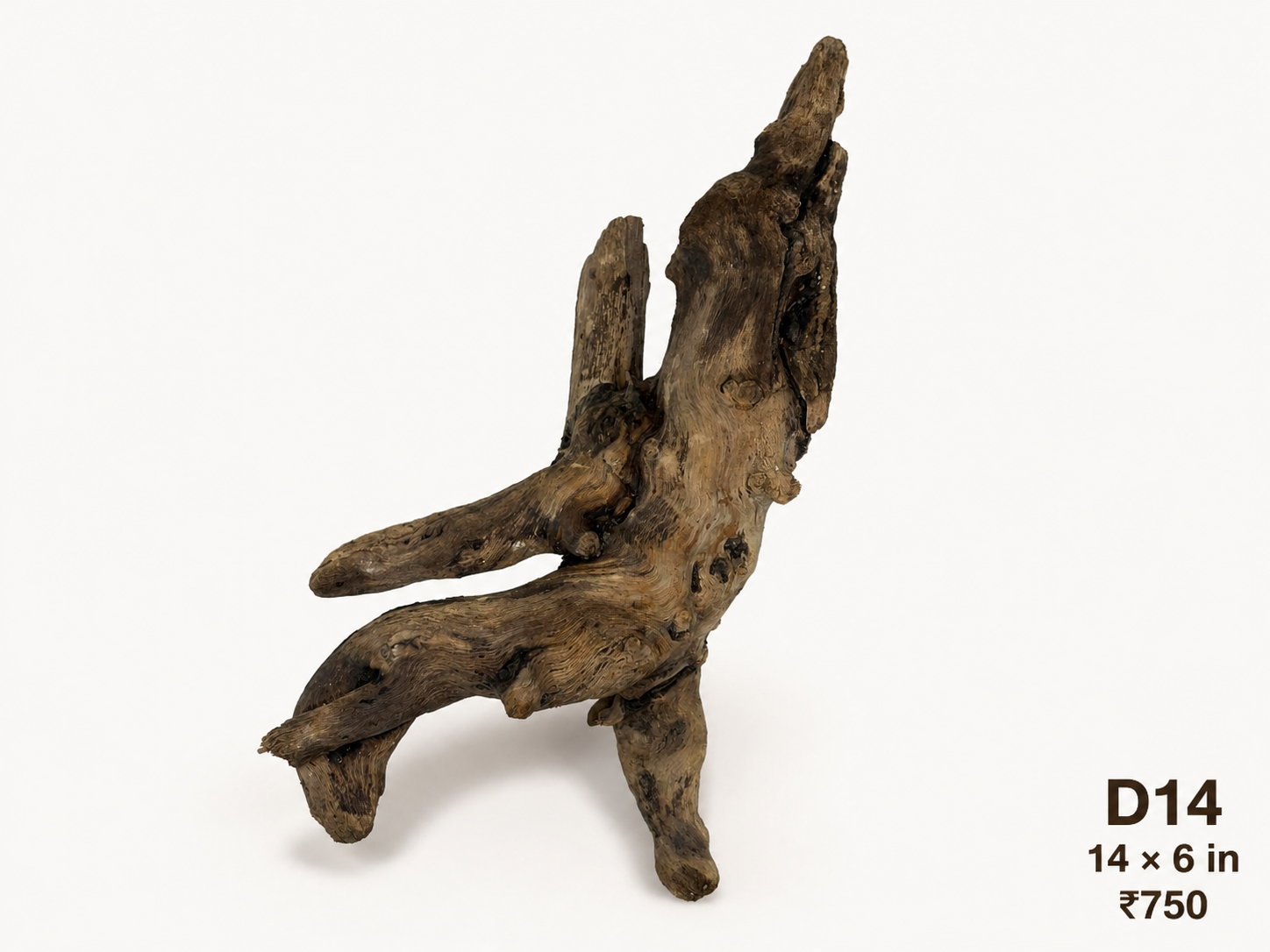 Natural Driftwood D14