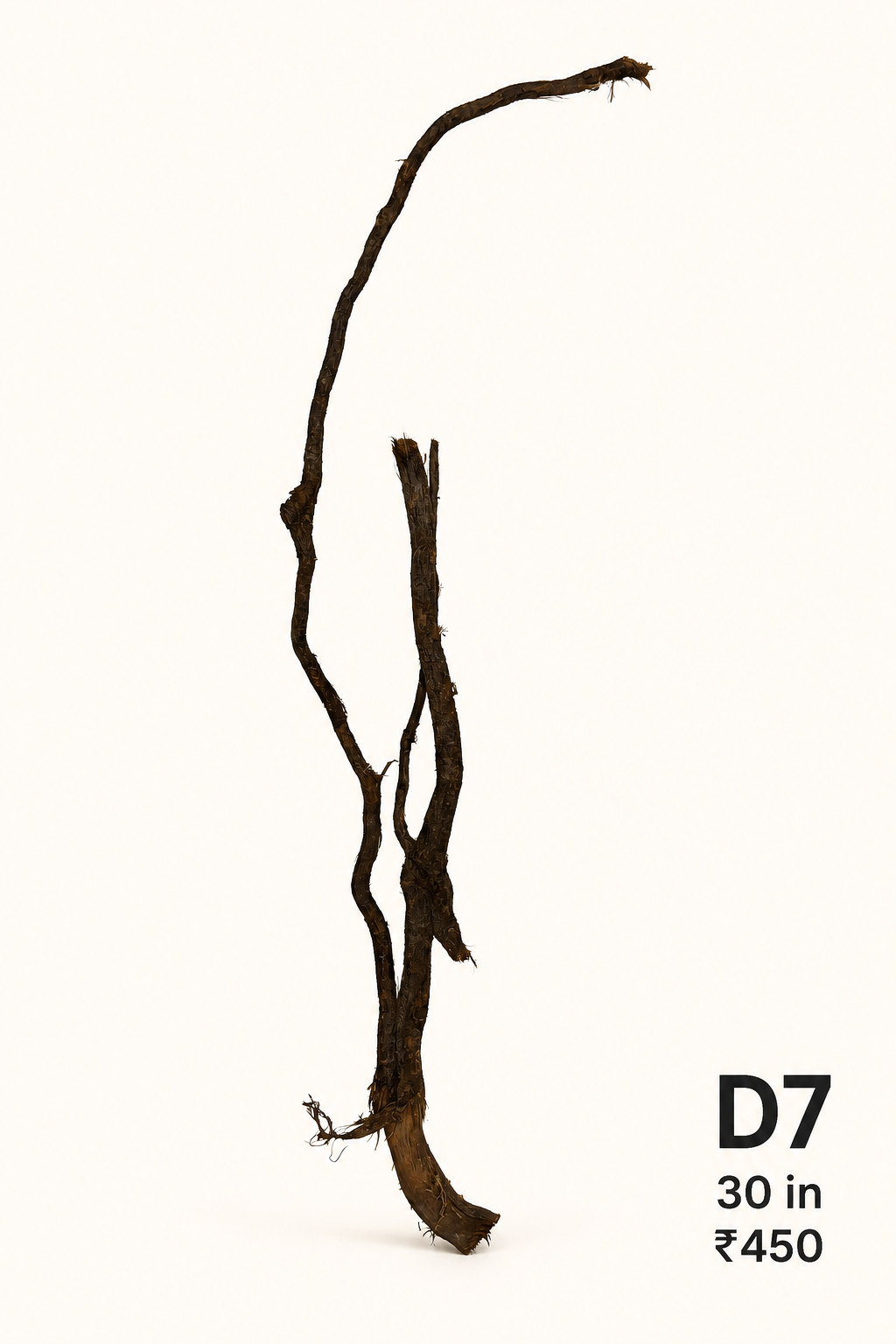 Natural Driftwood D7