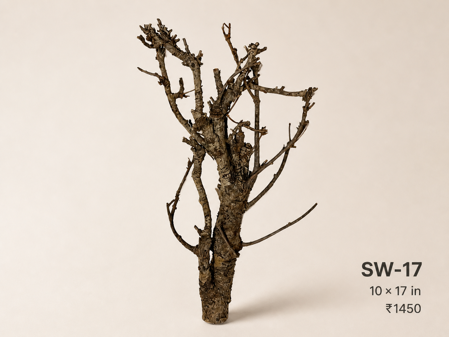 Tree-Style Natural Driftwood - SW17