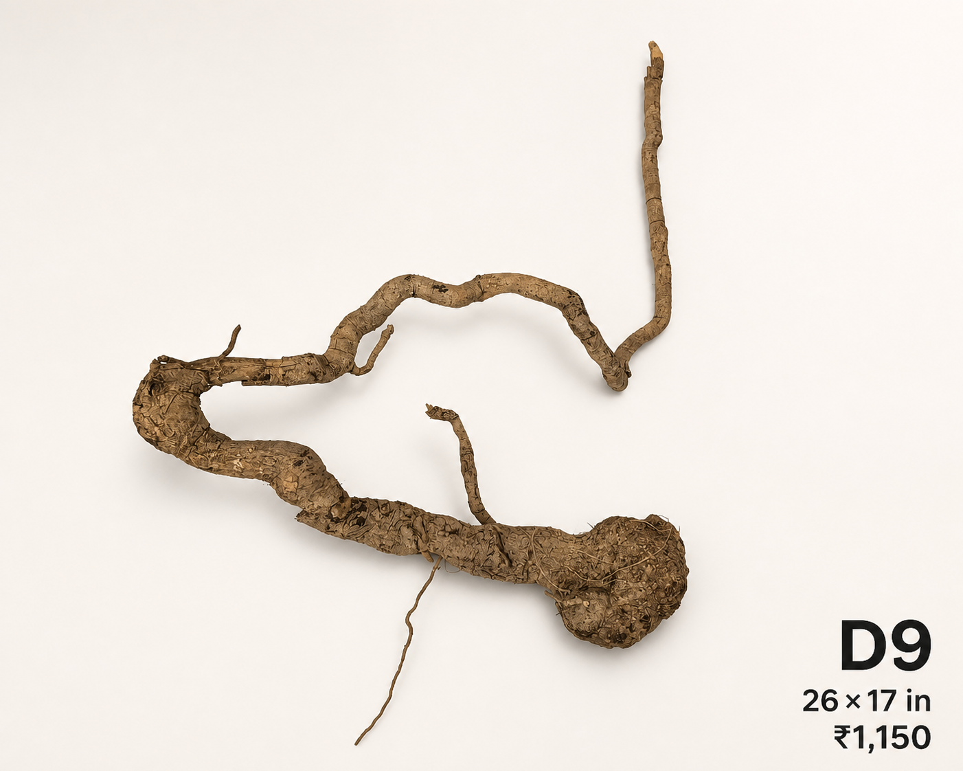 Natural Driftwood D9