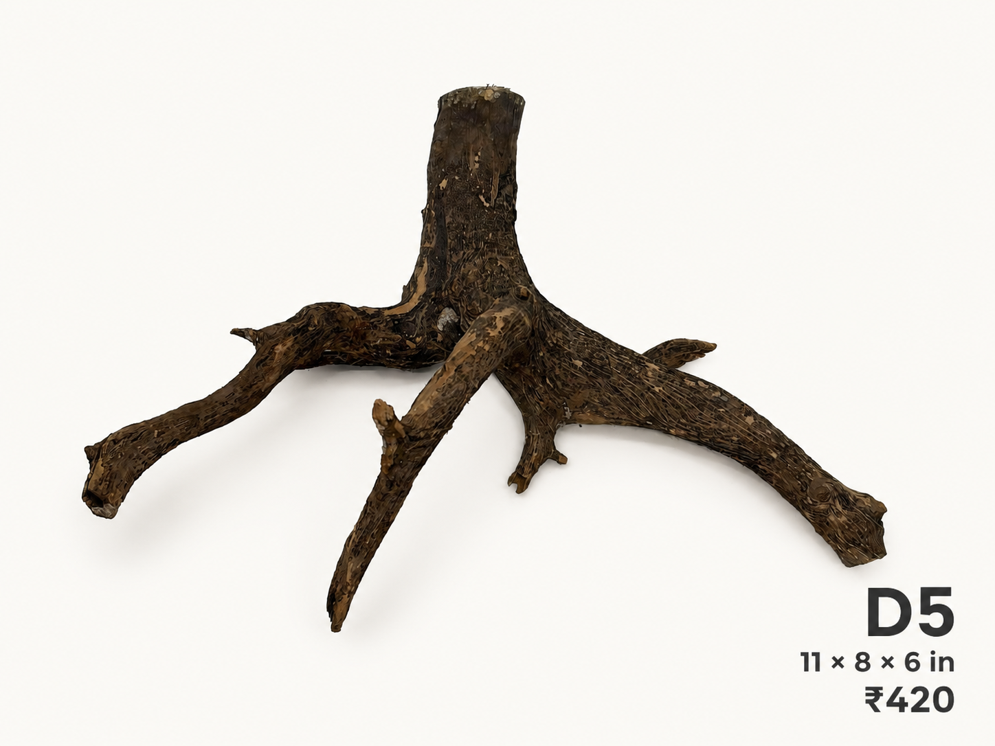 Natural Driftwood D5