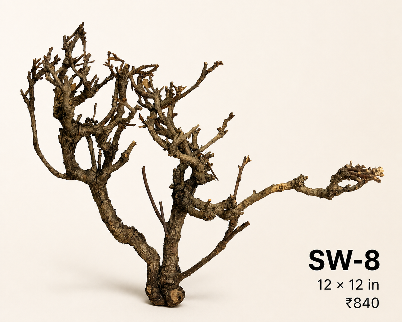 Tree-Style Natural Driftwood - SW8