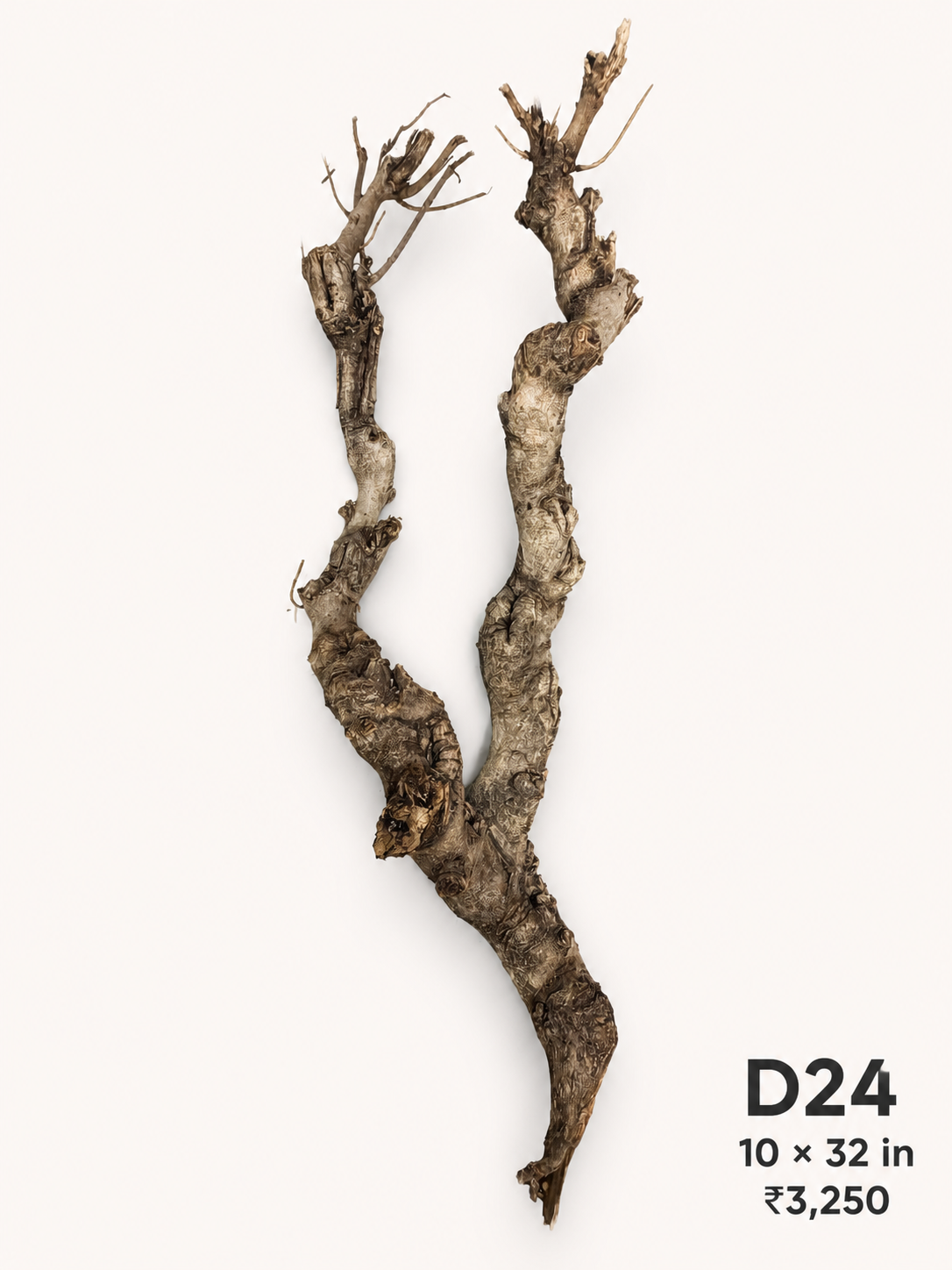 Natural Driftwood D24