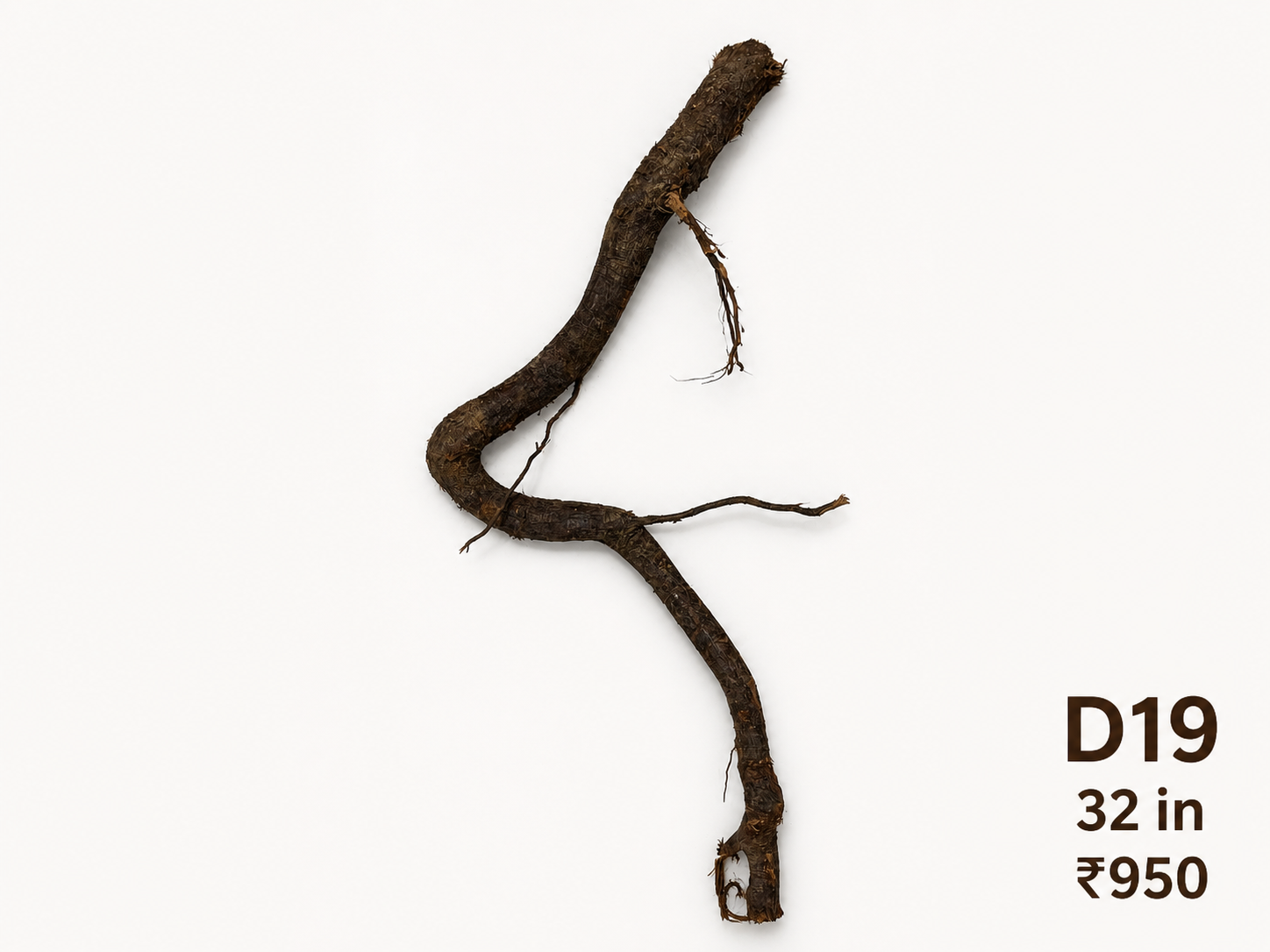 Natural Driftwood D19