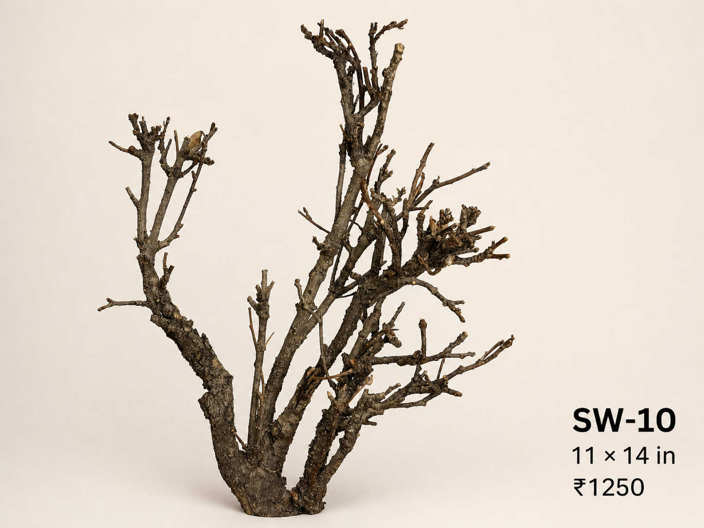 Tree-Style Natural Driftwood - SW10
