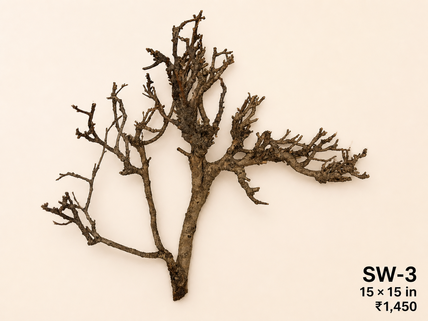 Tree-Style Natural Driftwood - SW3
