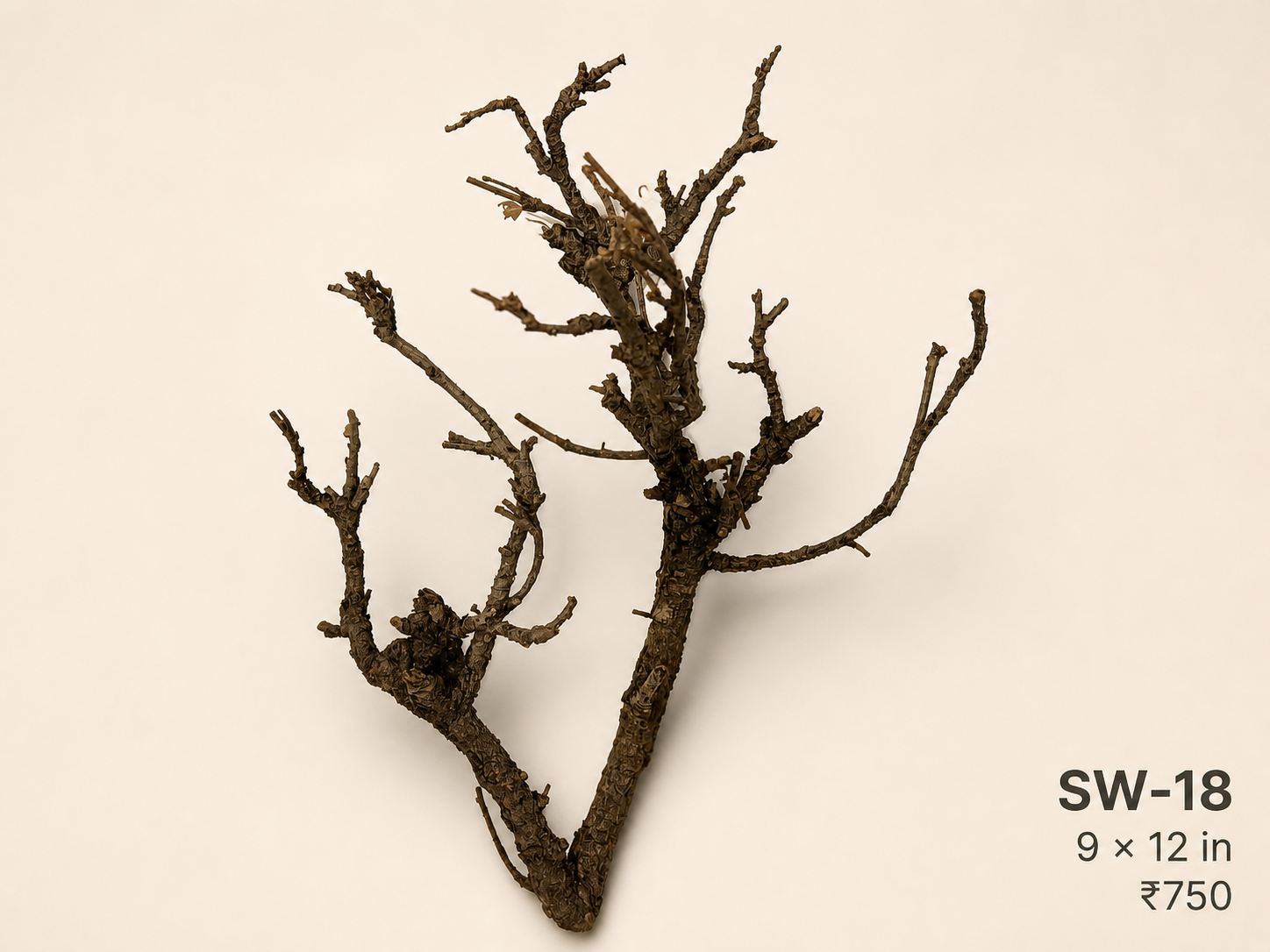 Tree-Style Natural Driftwood - SW18