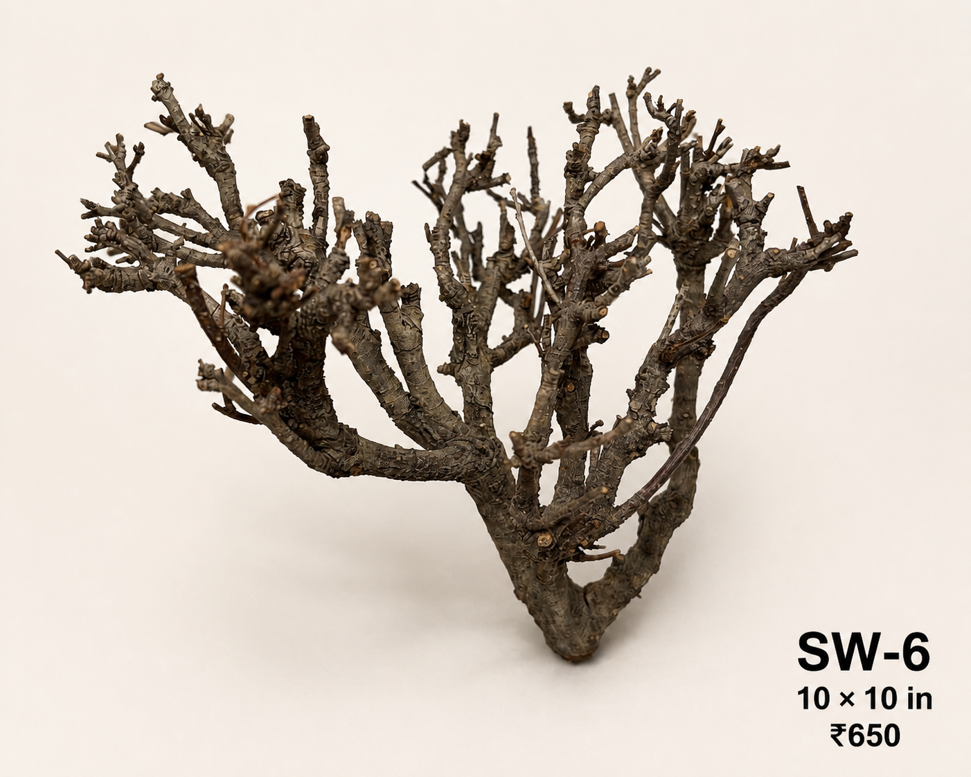 Tree-Style Natural Driftwood - SW6