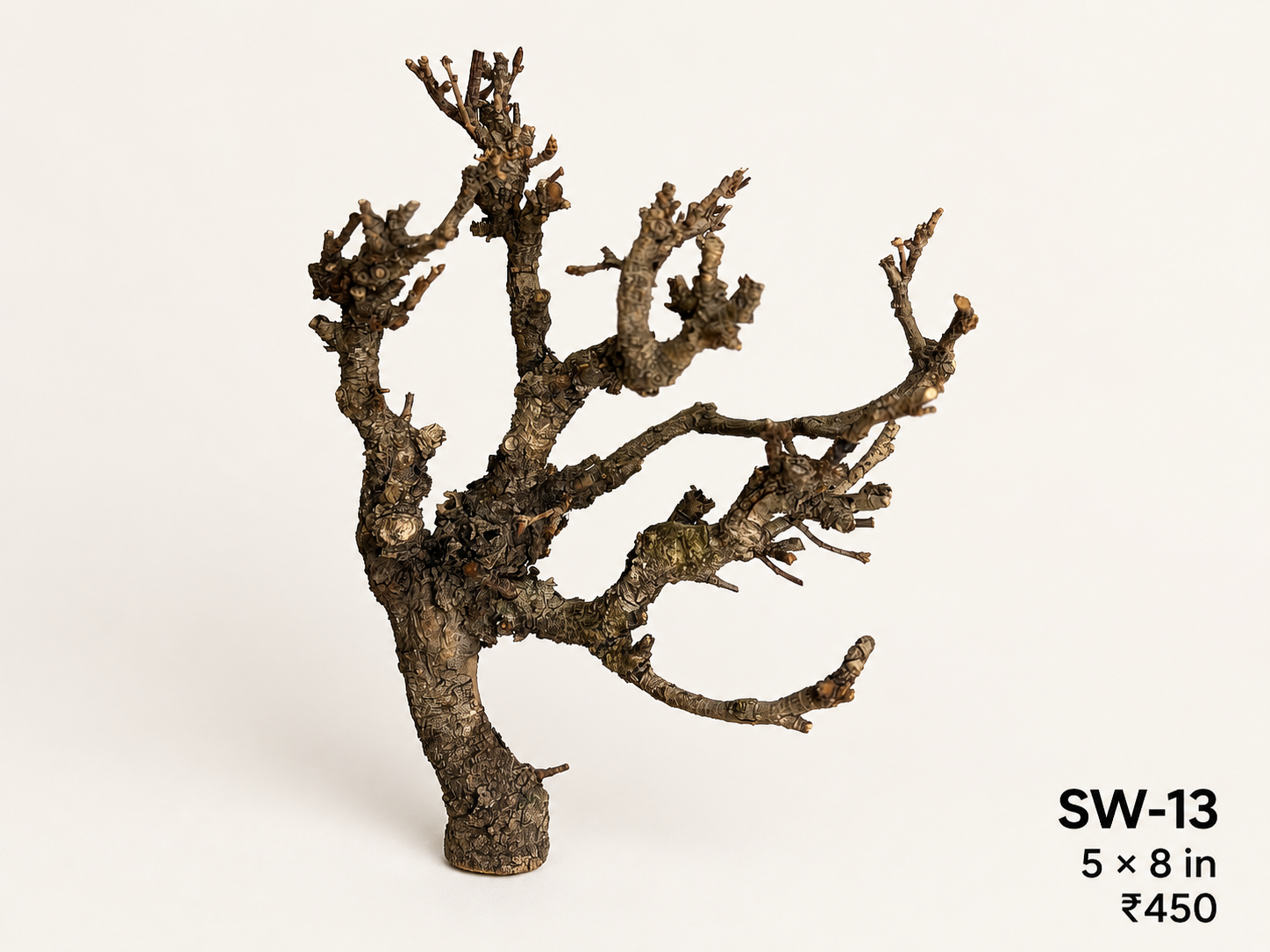 Tree-Style Natural Driftwood - SW13