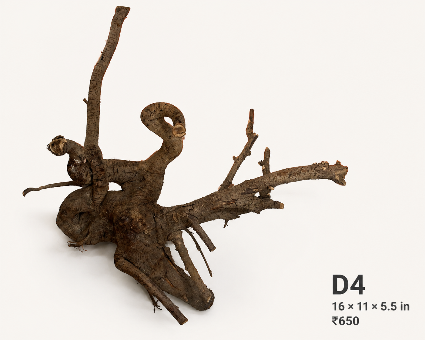 Natural Driftwood D4