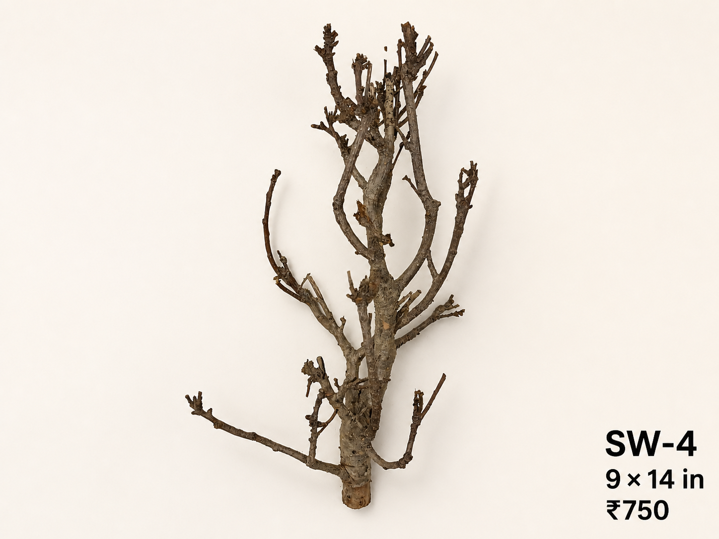 Tree-Style Natural Driftwood - SW4
