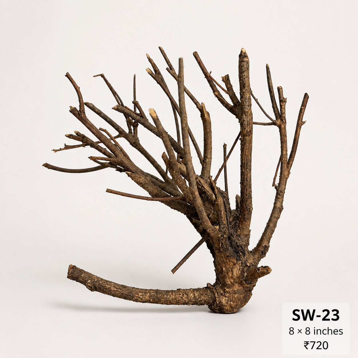 Tree-Style Natural Driftwood - SW23