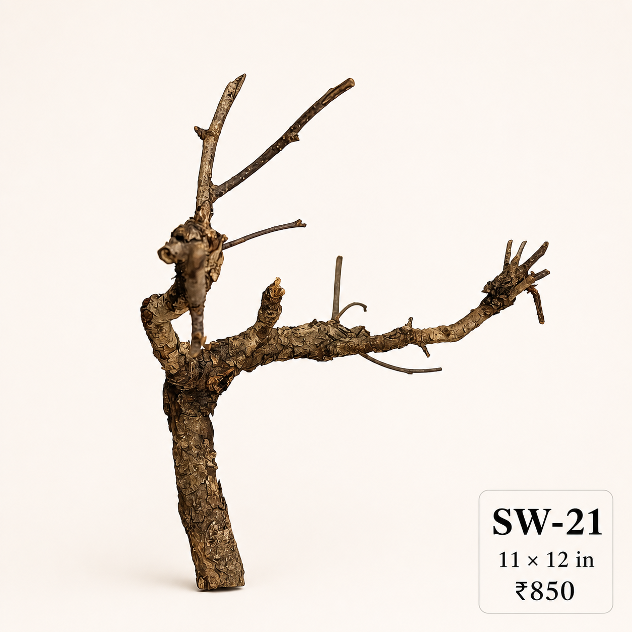 Tree-Style Natural Driftwood - SW22