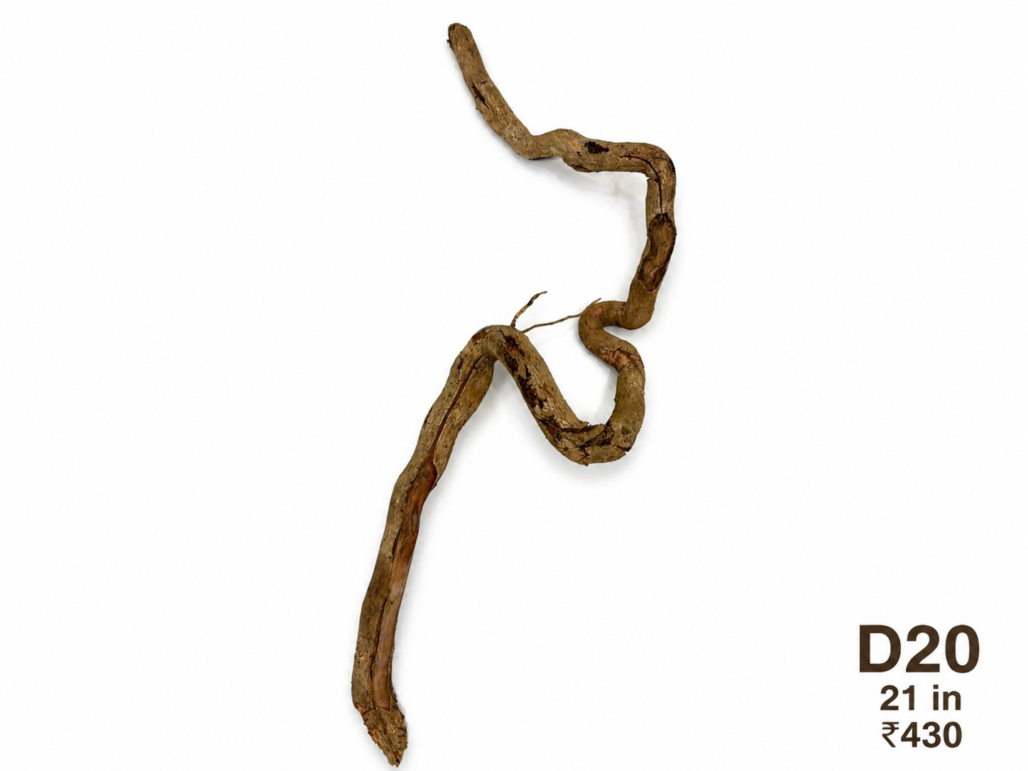 Natural Driftwood D20