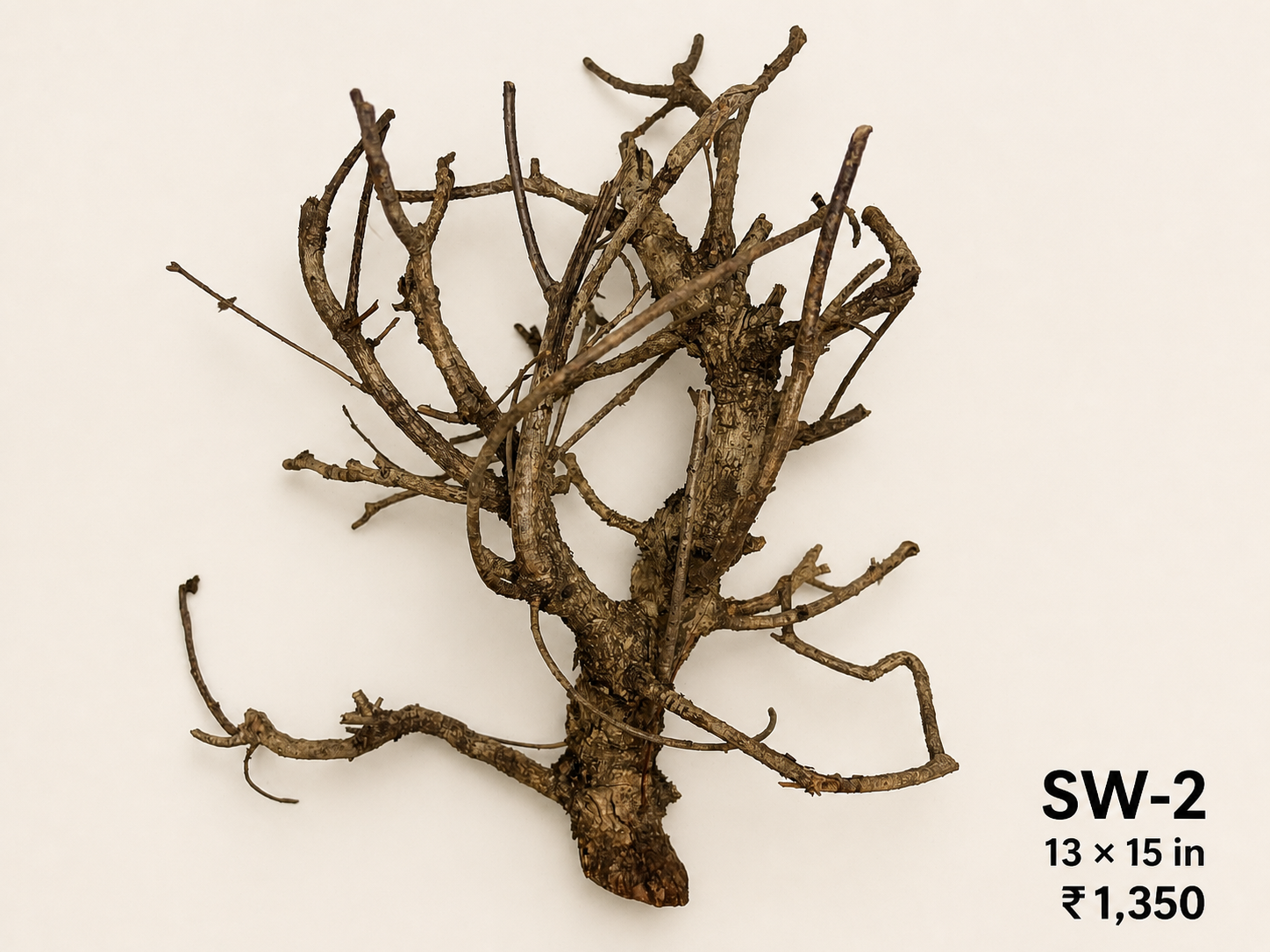 Tree-Style Natural Driftwood - SW2