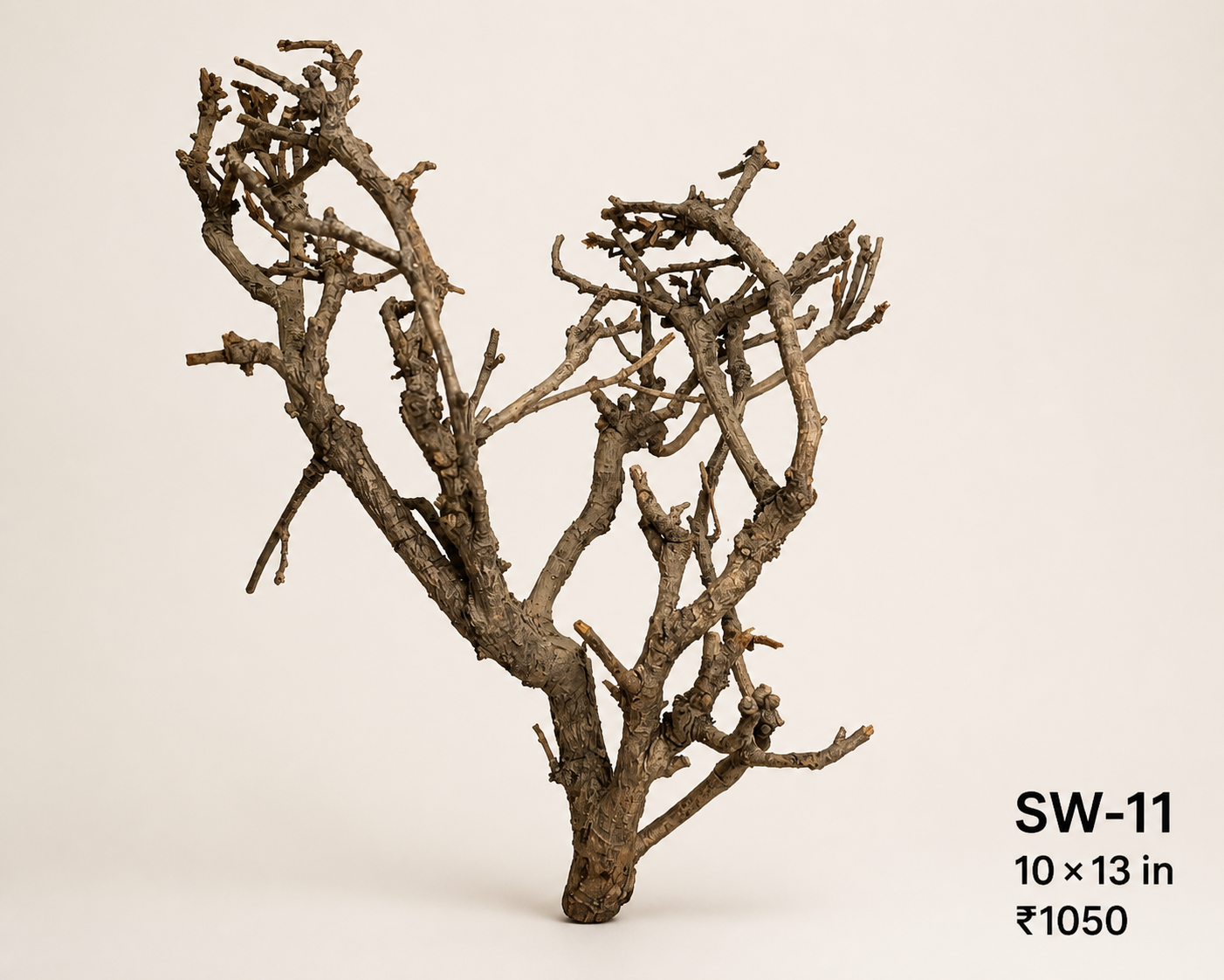 Tree-Style Natural Driftwood - SW11