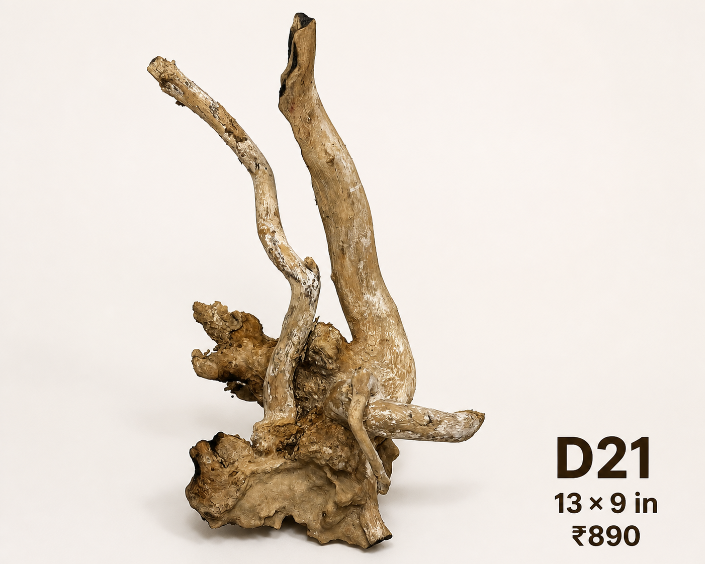 Natural Driftwood D21