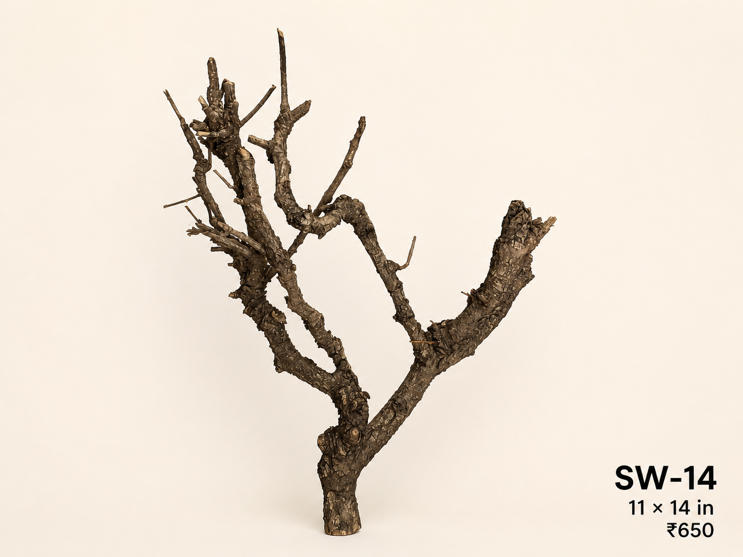 Tree-Style Natural Driftwood - SW14