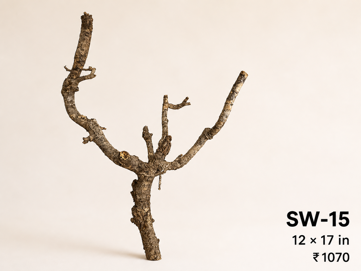 Tree-Style Natural Driftwood - SW15
